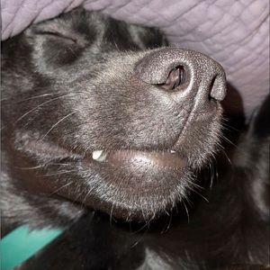 Meet your Posher, Maddie